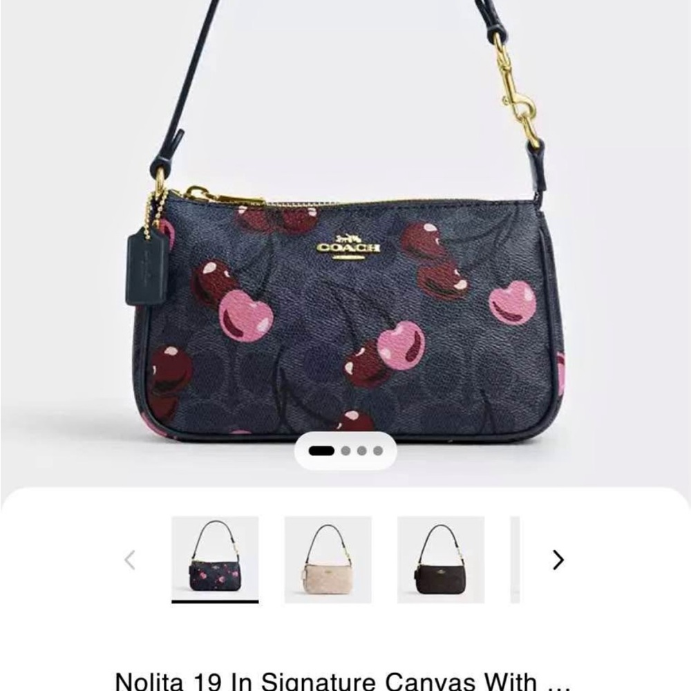 Coach Nolita 19 Signature Canvas Bag